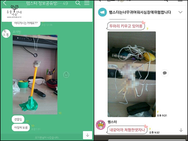 2017년 11월 발생한 햄스터 학대 사건과 관련한 메시지. 피의자는 조용한 성격의 고등학생이었다.