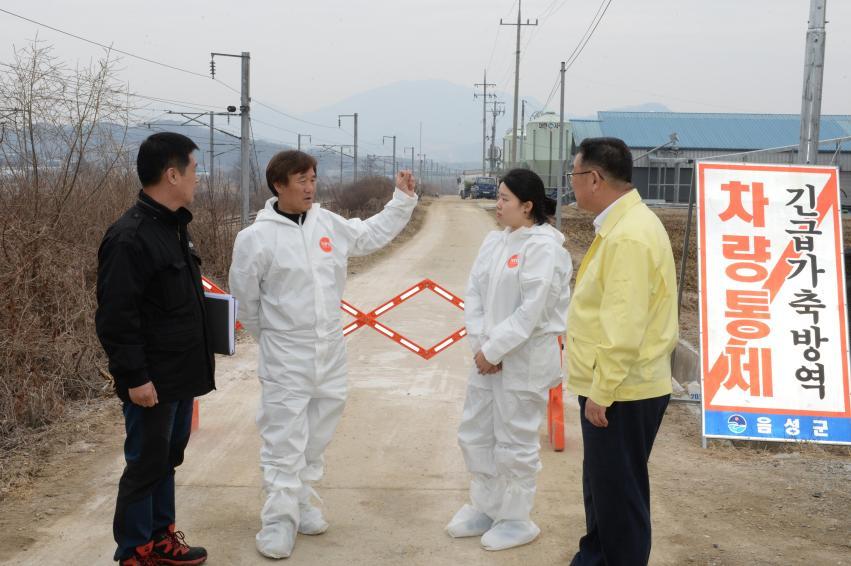 충북 음성군 관계자 등이 이필용 음성군수(오른쪽)에게 조류인플루엔자 확진과 방역 상황 등에 대해 설명하고 있다.음성군 제공