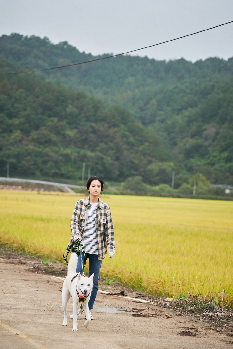 영화 리틀 포레스트에서 혜원(김태리)의 반려견으로 연기 한 오구.