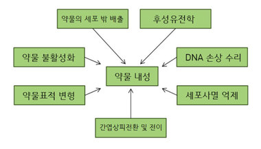 그림 2. 약물내성의 여러 원인들. 암이 약물에 내성을 띄는 방법은 다양하지만, 본문에서는 약물의 불활성화와 약물표적 변형에 대해서만 설명하였다. 출처: Cancers 2014, 6, 1769-1792.