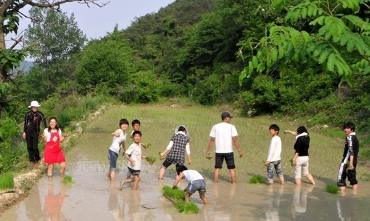 “외국은 홈스테이, 우리는 촌(村)스테이”