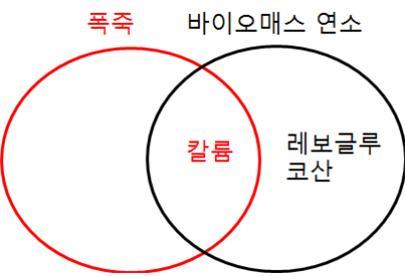 폭죽에서는 칼륨만 배출되고, 바이오매스에서는 칼륨과 레보글루코산이 동시에 배출된다.