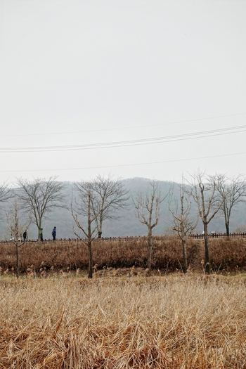 이 봄, 곤지암 일대는 걷기의 소소한 미학을 일깨워주는 곳이다. 사진은 경안천습지생태공원. 이정국 기자.