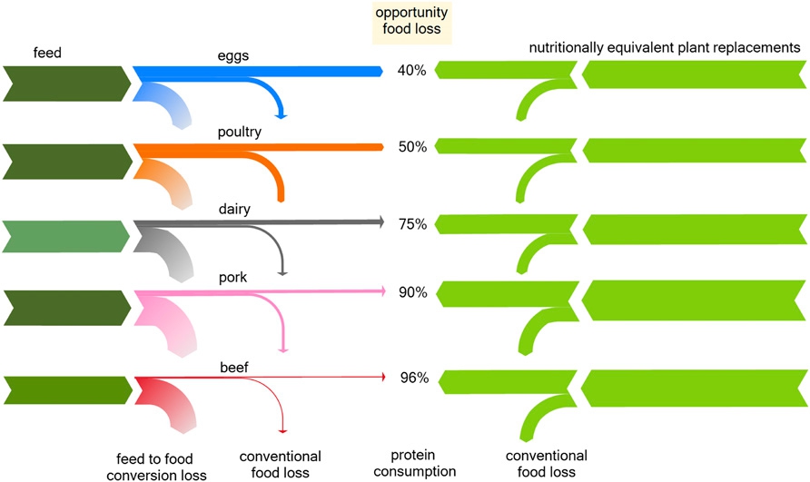 동물 기반 식품과 식물 기반 식품의 전통적인 식품 손실과 기회 식품 손실을 비교한 그림. <PNAS> 제공