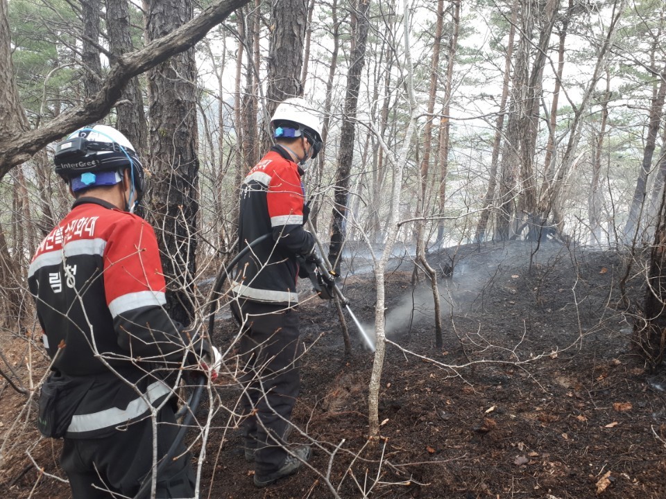 산림당국이 29일 고성 산불 완전진화를 위한 작업을 재개했다. 사진은 산불 진화대원들이 잔불을 정리하고 있는 모습. 산림청 제공