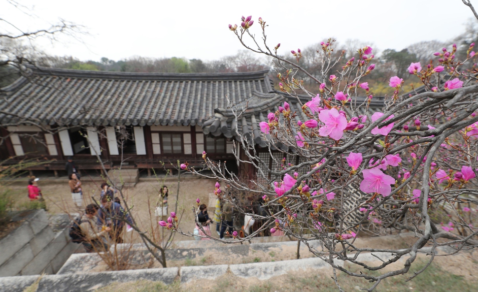 29일 오전 서울 종로구 창덕궁에서 특별관람 참가자들이 낙선재 일원을 둘러보고 있다. 백소아 기자