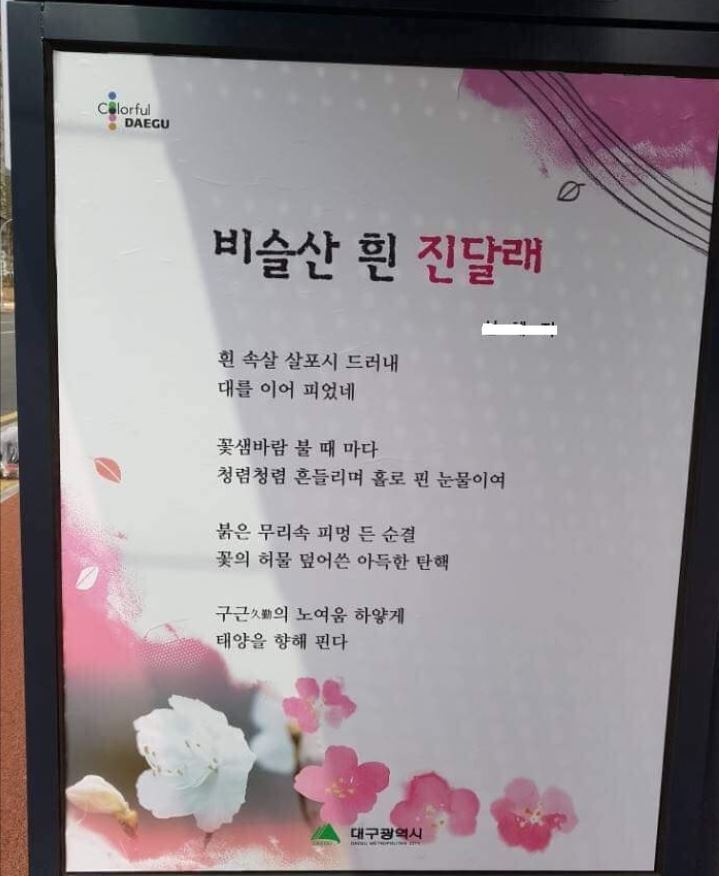 최근 대구 달성군 현풍면 버스 승강장에 박근혜 전 대통령의 탄핵을 안타까워하는 내용의 시가 붙었다. 온라인커뮤니티 갈무리