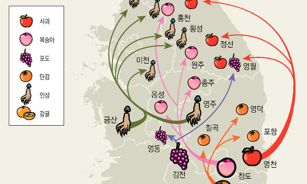 온난화가 밀어올린 과일 재배지…사과는 정선·복숭아는 충주