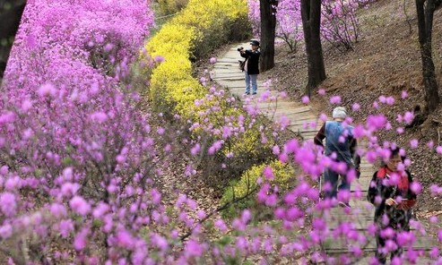 [ESC] 수도권 절정의 꽃동산 함께 걸어봐요