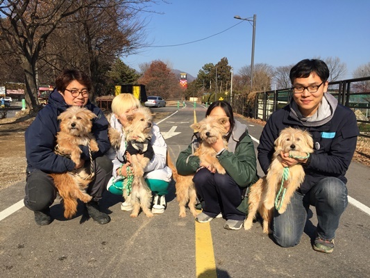 구조된 브로, 콜리, 양파, 두부가 봉사자들과 함께 산책을 나왔다.