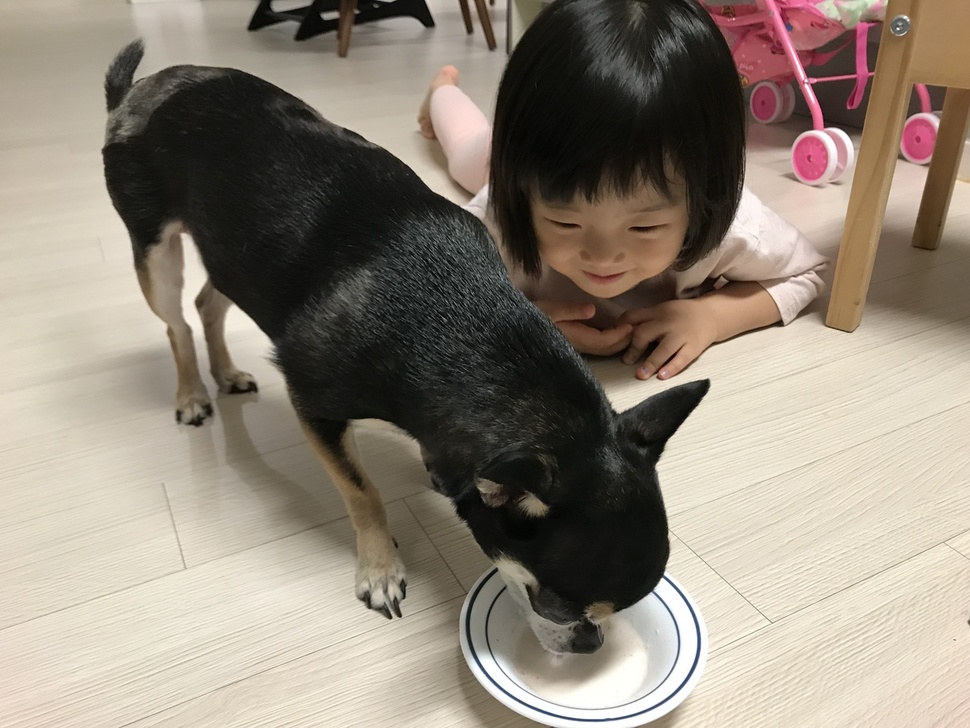 아이는 함께 사는 반려견 ‘제리’의 간식을 제 손으로 챙겨줄만큼 자랐다. 우리의 살뜰한 보살핌으로 자란 아이는 이제 반려동물을 보살피는 입장이 됐다.