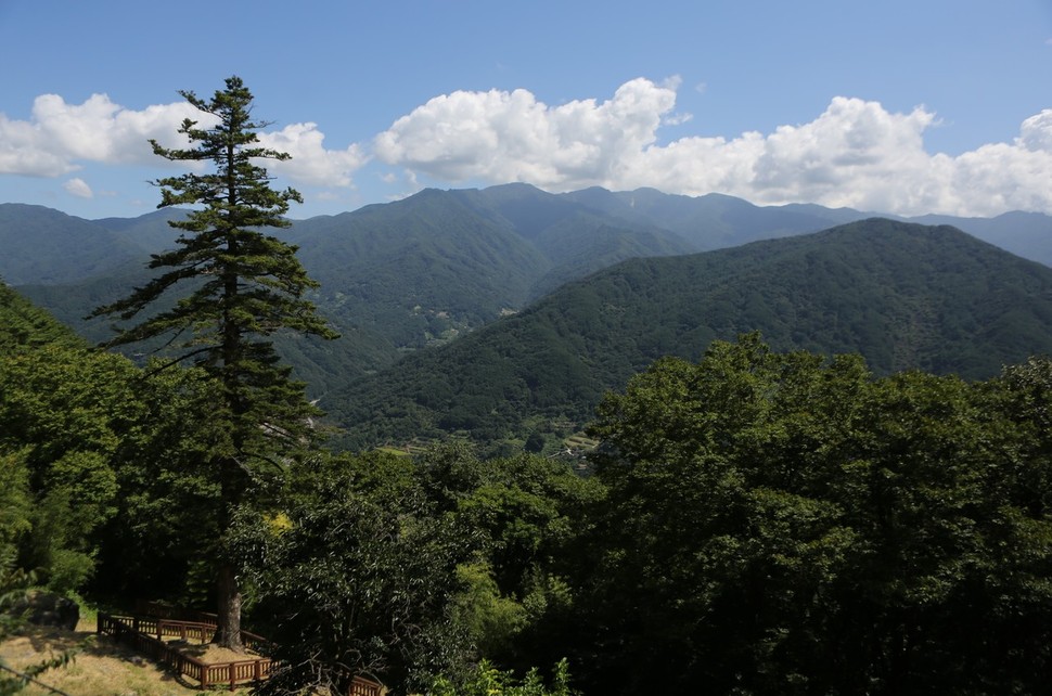 지리산의 울창한 숲. 대기 중 이산화탄소 농도가 올라감에 따라 식물들이 더 많은 이산화탄소를 제거해 줄 것이라는 가정이 틀릴 수도 있음을 시사하는 연구 결과가 보고돼 주목된다. 이병학 선임기자 leebh99@hani.co.kr