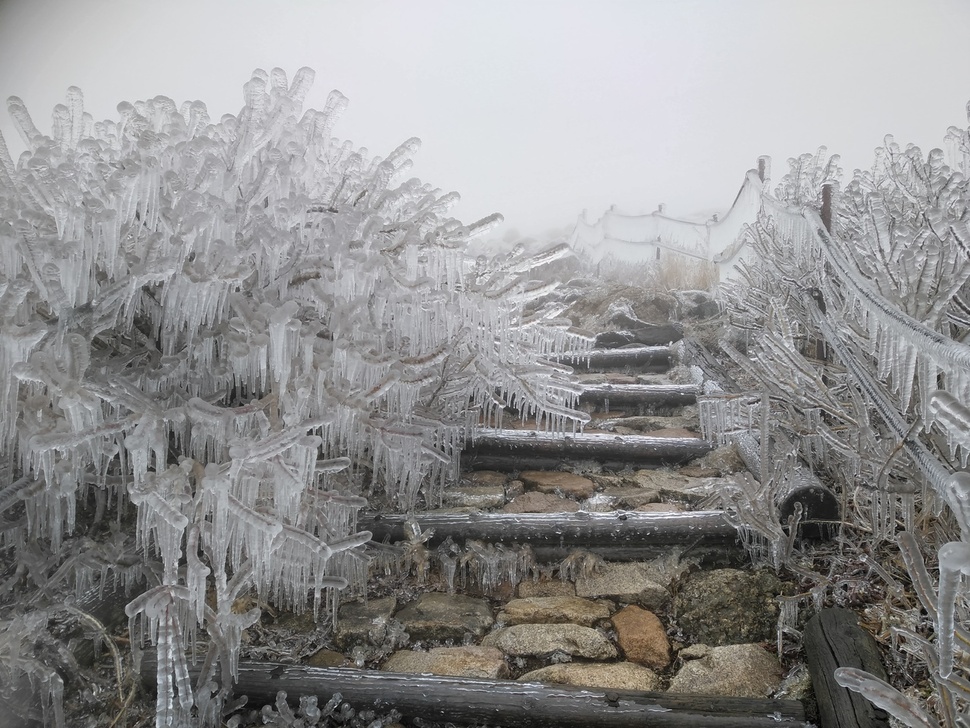 24일 설악산 대청봉 등 고지대 일대가 영하 4.1도까지 내려가면서 지난 22일부터 내린 비가 얼어 환상적인 무대를 연출하고 있다. 사진 국립공원관리공단 설악산국립공원사무소 제공