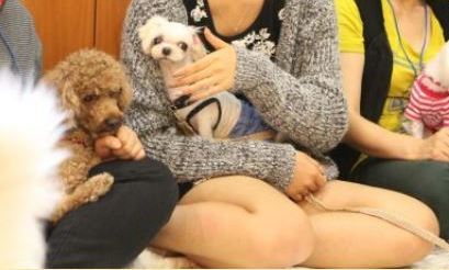 쉼터만으론 부족…가출청소년에게 자립 터전을 