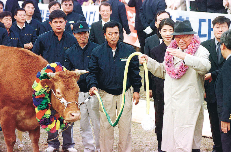 1998년 6월 정주영 현대그룹 명예회장이 ‘통일소’ 한 마리를 끌고 북한에 들어가고 있다. 정 회장은 새끼를 밴 소를 포함해 1001마리의 소떼를 끌고 북한으로 가 김정일 국방위원장과 회담하고 금강산 개발 의정서를 받아 왔다. 이정용 기자 lee312@hani.co.kr