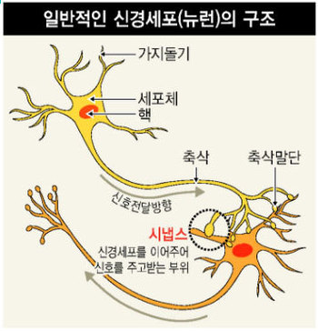 한겨레 자료그림