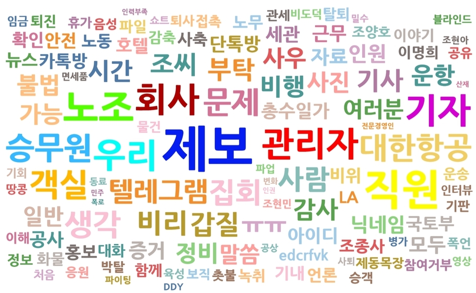 ‘대한항공 갑질 불법 비리 제보방’에 올라온 채팅 내용을 ‘워드 클라우드’(word cloud) 방식으로 시각화했다.    그래픽 이재호 기자