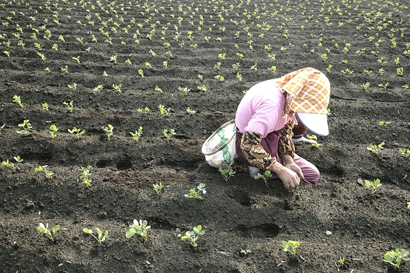 한겨레 자료사진
