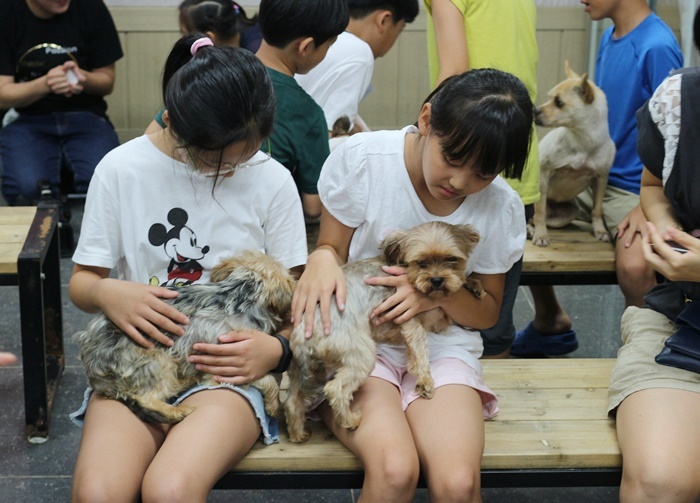 동물자유연대 반려동물복지센터는 여름·겨울방학 때 유아와 초등학생을 위한 교육봉사 프로그램도 1년에 2차례 진행한다.