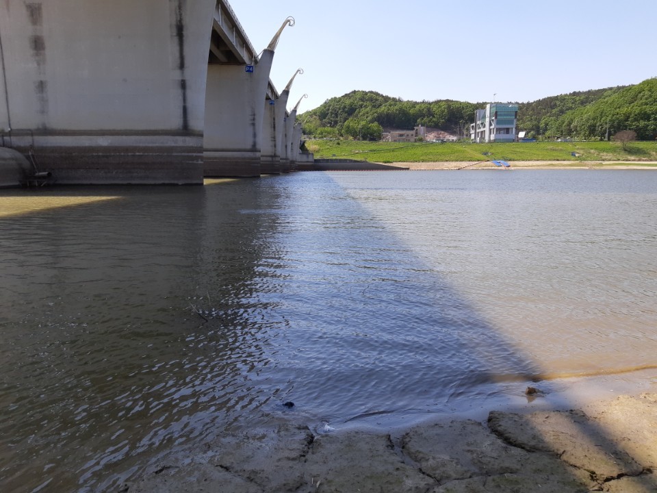 지난 4일 환경운동연합과 대한하천학회, <한겨레>가 방문한 금강 중류 충남 공주시 공주보 왼쪽 강변(좌안)의 모습. 공주보는 지난 3월 개방됐지만 금강 하류의 백제보가 닫혀 있는 까닭에 강 생태계 회복이 느린 상태다. 수질 상태가 좋지 않은 공주보 유역의 모습.