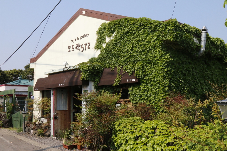 가시리 마을 곳곳엔 예쁘고 맛있는 카페도 많다.                        사진/박영률 기자