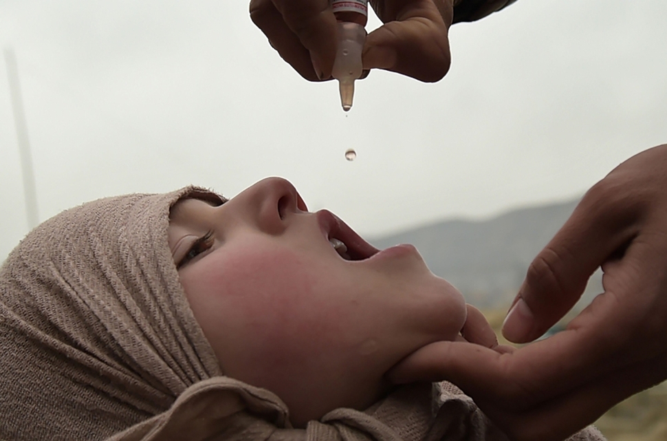 아프가니스탄 카불에서 2017년 2월28일 백신 캠페인에 참여한 의료인이 어린이에게 소아마비 백신을 입에 넣어주고 있다. 지난 4월30일 카불 테러 현장에서 기자를 가장한 테러범의 자폭테러로 숨진 아에프페 통신 사진기자 샤 마라이가 찍었다. 