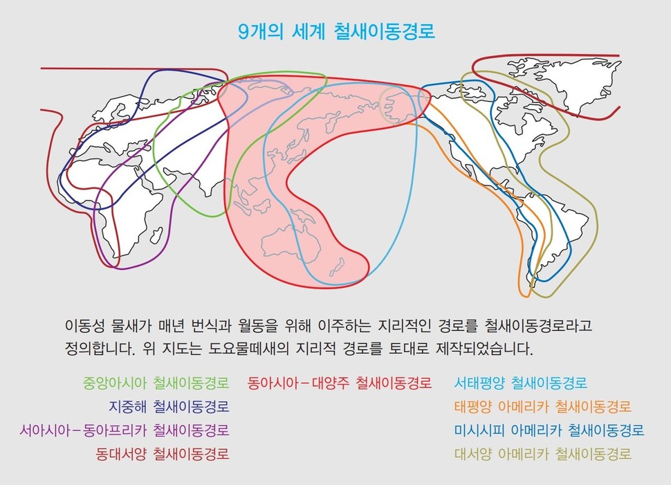 9개의 세계 철새 이동 경로. ‘동아시아-대양주 철새이동경로 파트너십’(EAAFP) 소개 책자에서 발췌했다.