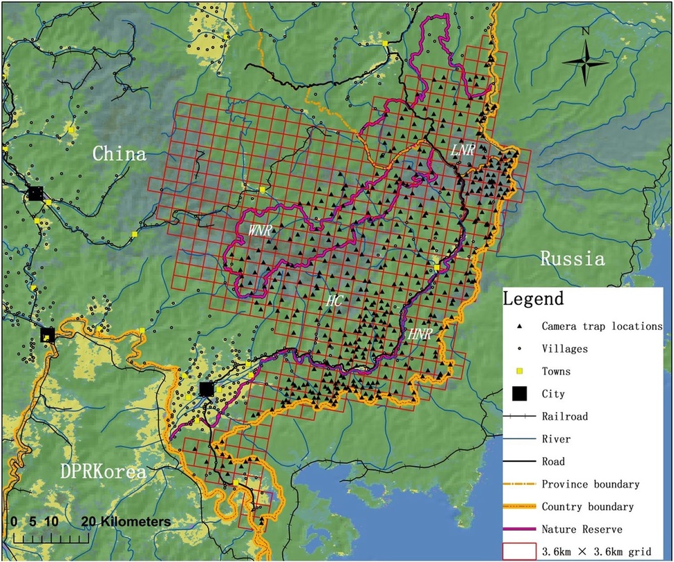 두만강 건너 중국과 러시아 국경 지대의 중국쪽 호랑이·표범 서식지(붉은 격자). 세모는 무인 카메라 위치, 점은 마을을 나타낸다. 양하이타오 외 ‘사이언티픽 리포트’(2018) 제공.
