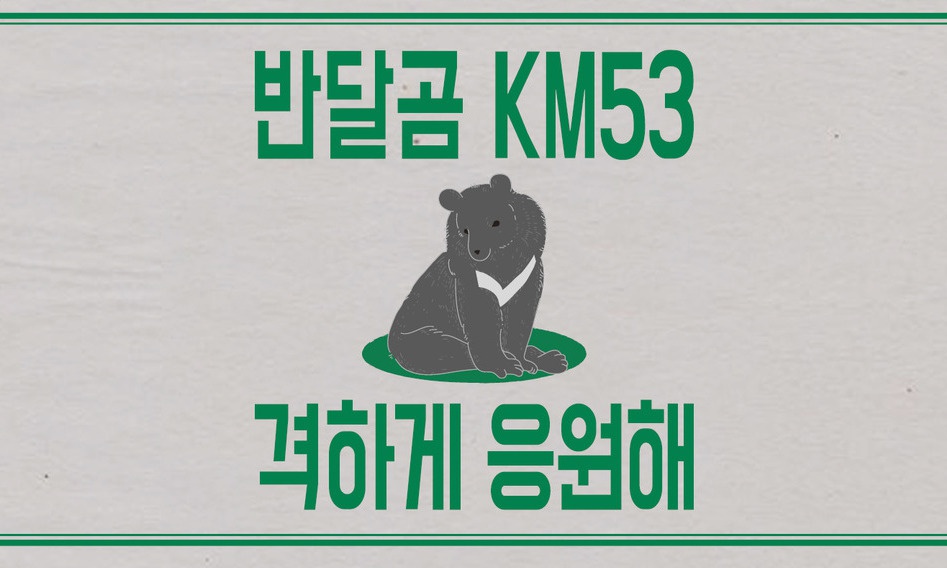 [카드뉴스] 반달곰 KM53, 격하게 응원해!