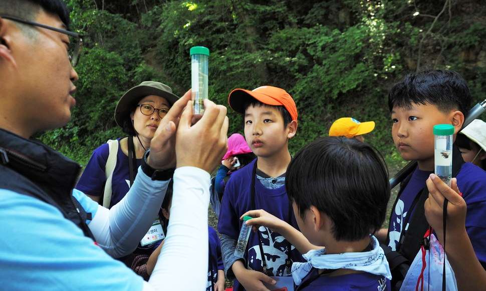 ‘두드드득~’ “쉿! 큰귀박쥐가 나타났어”