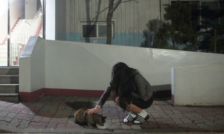 카오스 앞에 내려앉은 온기 