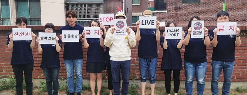 14일 동물단체 ‘동물자유연대’ 활동가들이 살아있는 동물의 운송을 금지하는 손팻말을 들고 있다.  동물자유연대 제공