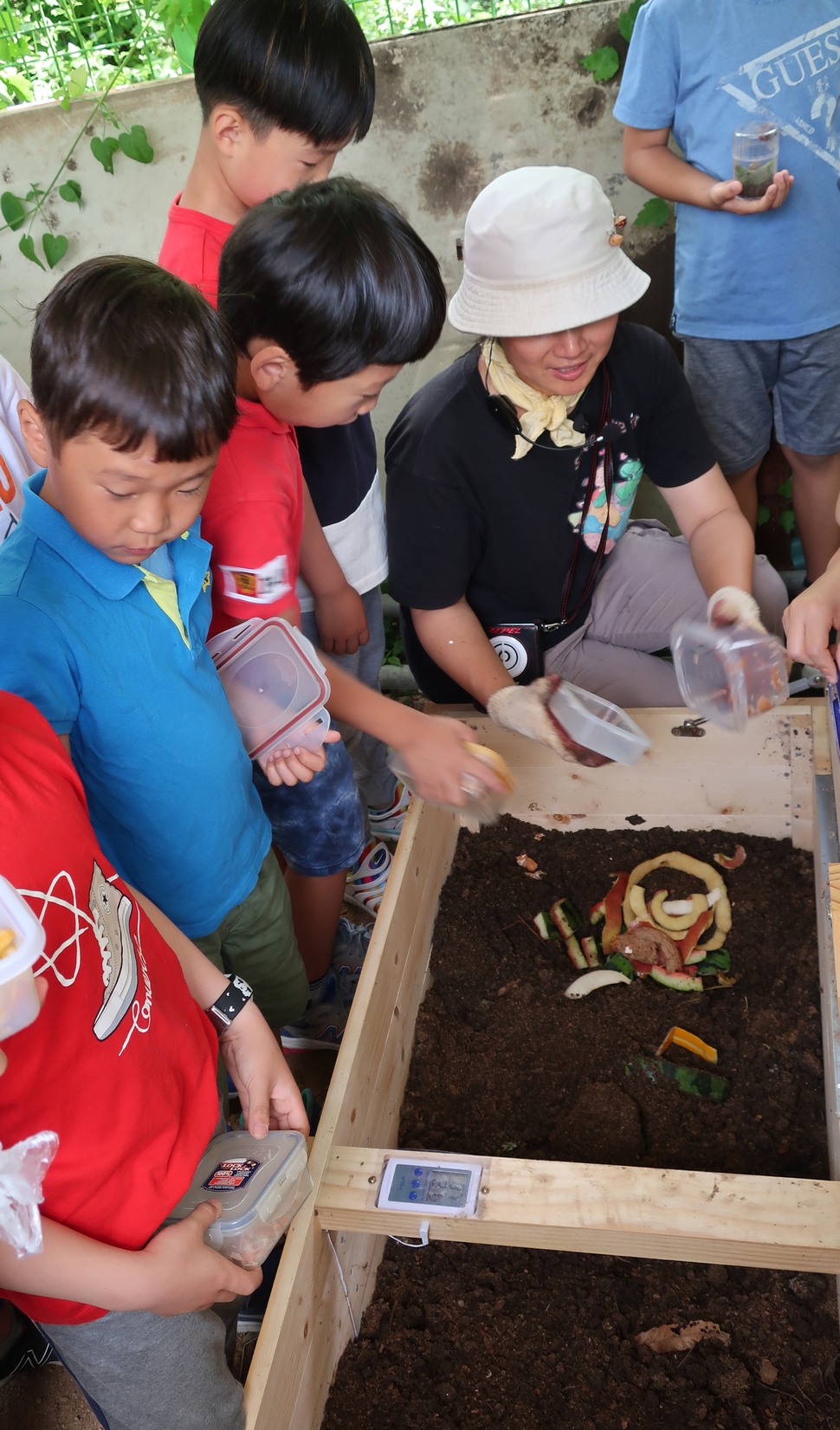 지난 6월12일 서울북한산초등학교 학생들이 학교텃밭에서 지렁이에게 먹이를 주고 있다.