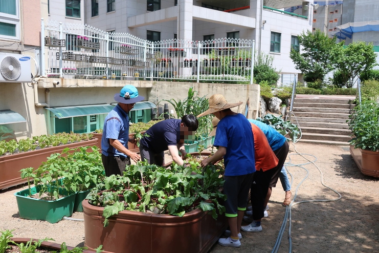 지난 6월12일 한국구화학교 아이들이 학교 텃밭에서 농작물을 가꾸고 있다. 왼쪽 첫번째는 사회적협동조합 도시농(農)담 남시정 대표, 두번째는 한광희 교사. 김태경 기자