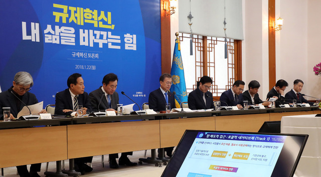 지난 1월22일 문재인 대통령 주재로 청와대에서 열린 ‘규제혁신 토론회’