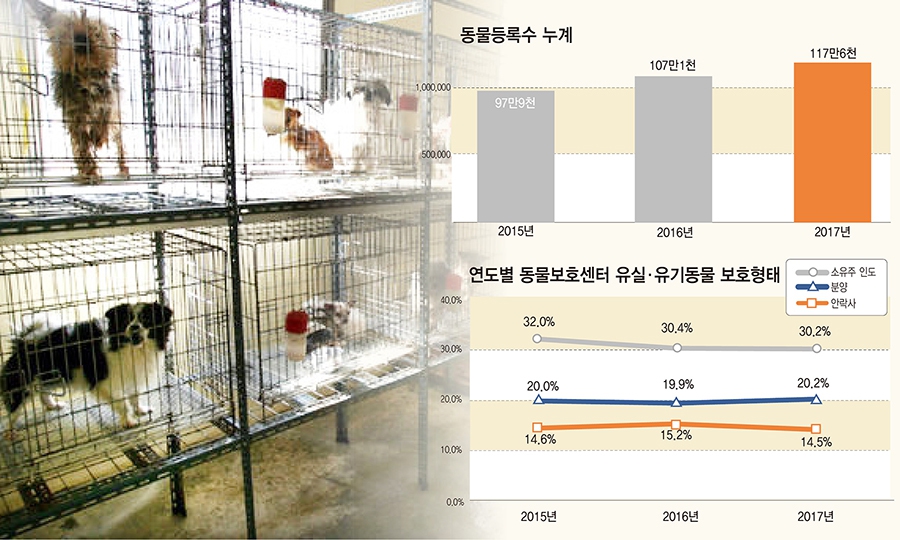 28일 농림축산식품부가 발표한 2017년 동물보호와 복지 관리 실태 조사 결과에 따르면 등록 동물 수는 총 117만6천 마리에 이르는 것으로 파악된다. 지난해 처음 10만 마리를 넘긴 유실·유기 동물의 보호 형태를 살펴보면 소유주 인도와 안락사 비율은 줄었고, 분양 비율은 늘었다. 그래픽 김경숙