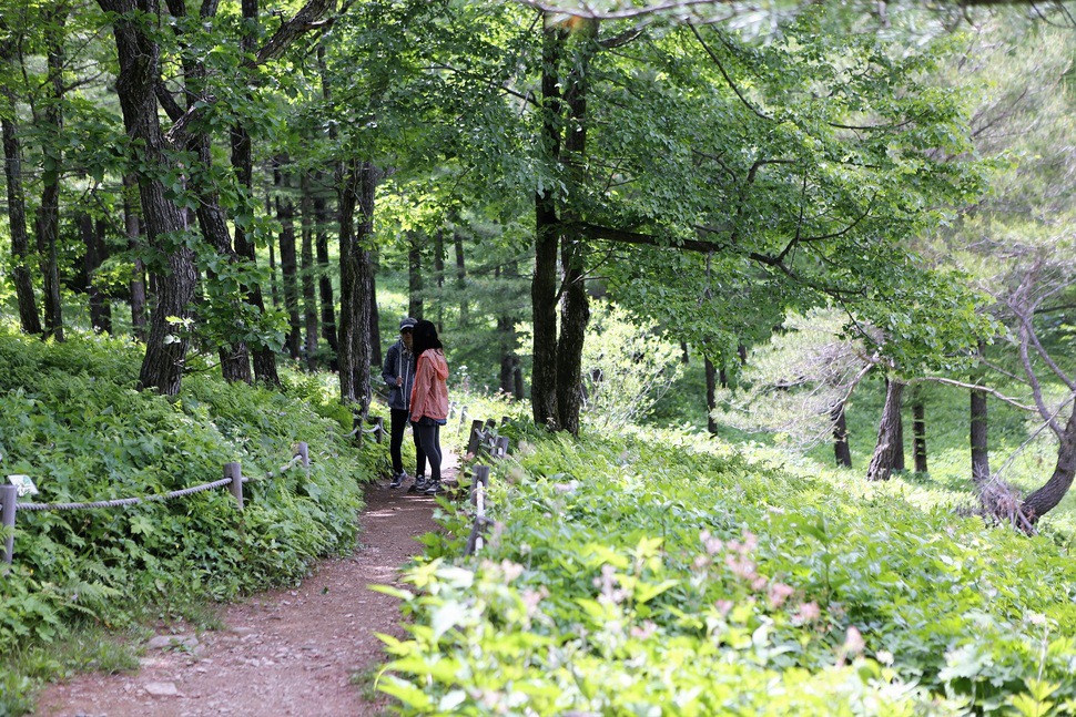 만항재 산상의 화원
