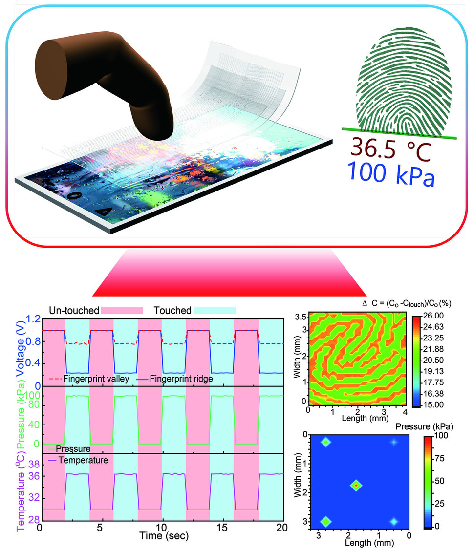온도와 압력, 지문을 동시에 감지할 수 있는 유연한 투명 지문센서. 울산과학기술원 제공