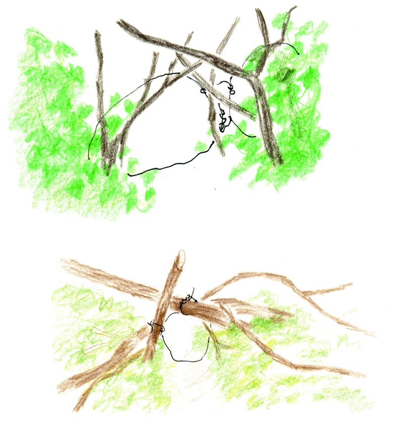 “올무가 또 발견되었다. 인근 북한산성 분소에서 직원 네 명이 왔는데 이번 올무는 작고 허술해서 멧돼지를 잡으려 한 것 같지는 않고, 전문 밀렵꾼도 아닌 것 같다고 한다. 뭘 잡으려 했을까? 왜 잡으려 했을까?”(2016년 10월31일) 그림 박은경