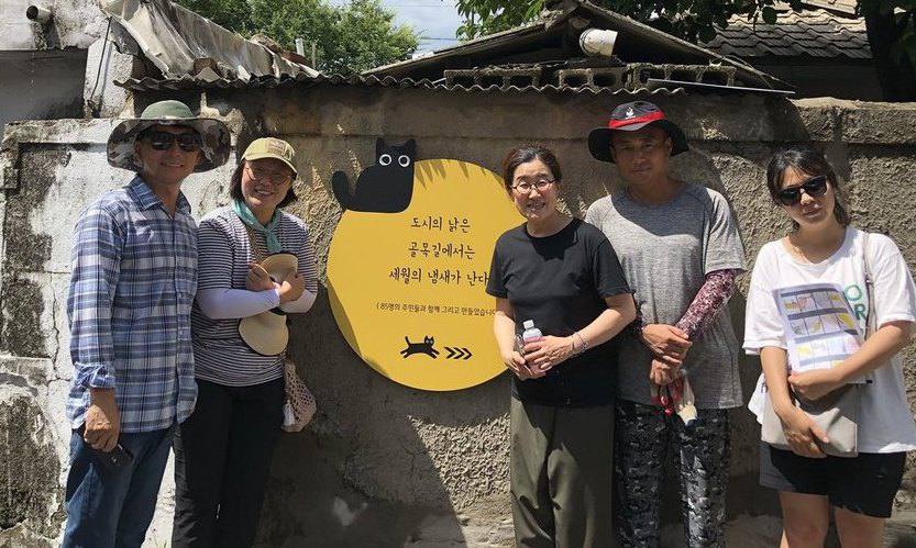 ‘길고양이 마을’이 된 춘천의 옛 골목