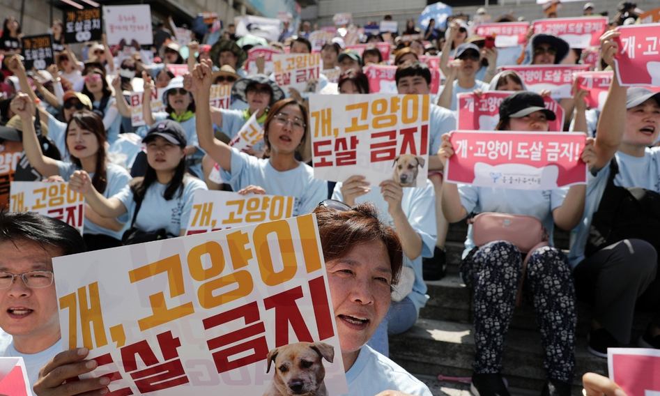 초복 앞둔 서울 도심 “개도살 금지법 제정하라” 목소리