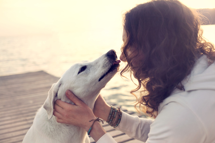개는 사람의 감정 상태를 어떤 동물보다 잘 안다. 특히 주인이 힘들어할 때 민감하다. 게티이미지뱅크 제공.