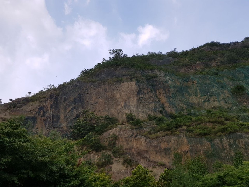 용마산 산양의 서식지 전경. 한강유역환경청 제공