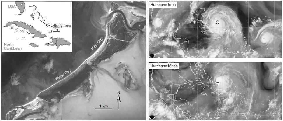 조사지역의 위치와 허리케인 ‘어마’와 ‘마리아’의 진행 경로. 콜린 도너휴 외 (2018) 네이처 제공.