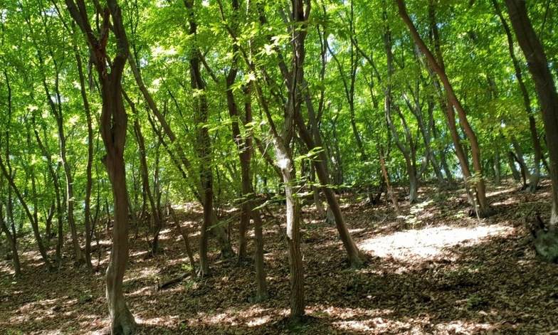 파주 DMZ 조사해보니…과연 ‘생태의 보고’
