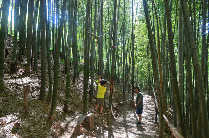 대나무숲에서 마음껏 뛰어놀 수 있는 거제 맹종죽테마공원. 사진 권다현 여행작가 