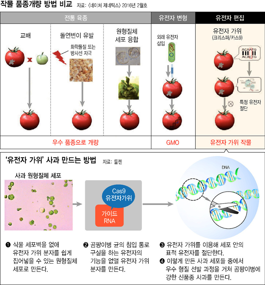 한겨레 자료그림