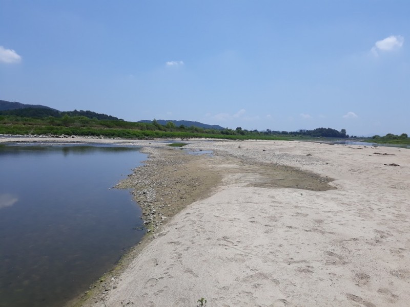 26일 낮 12시10분께 광주시 광산구 동곡동 송대마을 부근 황룡강과 영산강이 합쳐지는 곳에 모래톱이 펼쳐지고 있다.