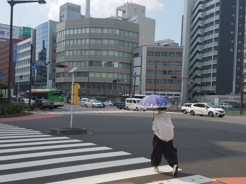   A woman crosses a pedestrian crossing in a street in Ogou, Tokyo, Japan on the 24th 