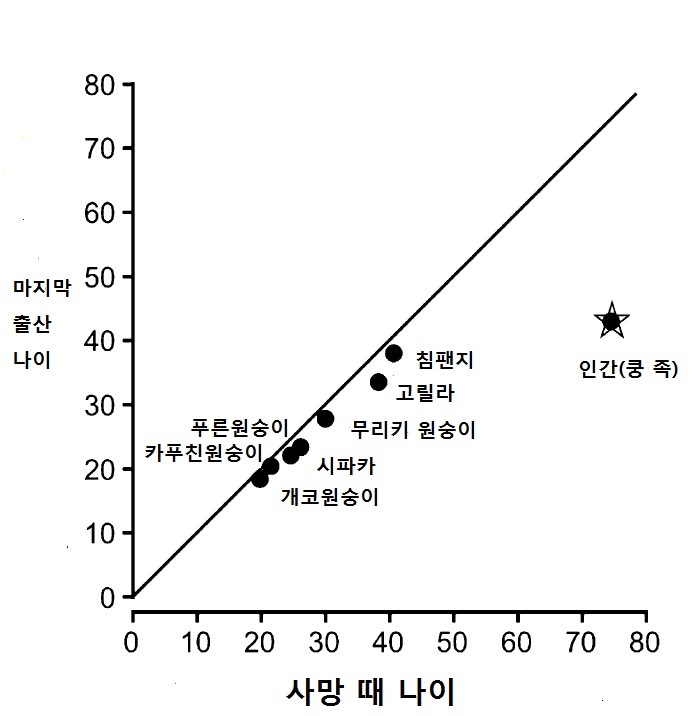 영장류와 인간의 마지막 출산과 사망 나이 대비. 영장류는 두 시기가 대개 일치하지만, 사람만 딴판이다. 수전 앨버츠 외(2013) PNAS 제공